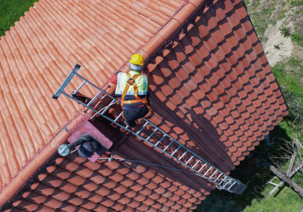 Best Roof Moss and Algae Removal  in Cottonwood, AZ