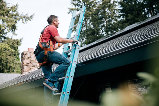Best Gutter Installation and Repair  in Cottonwood, AZ